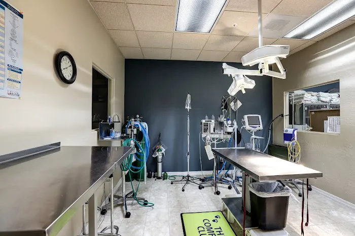 Friendship Pet Hospital 6