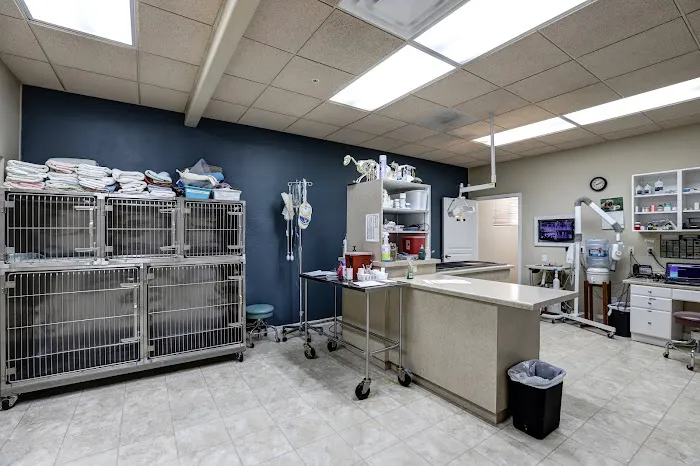 Friendship Pet Hospital 9