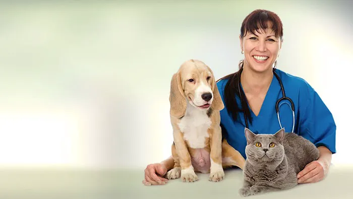 Friendship Pet Hospital 7