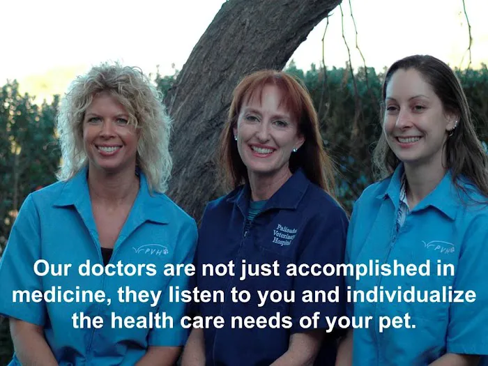 Palisades Veterinary Hospital: Diltz Laura J DVM 1