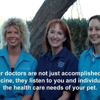 Palisades Veterinary Hospital: Diltz Laura J DVM ico