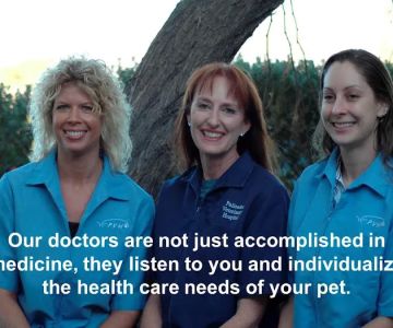 Palisades Veterinary Hospital: Diltz Laura J DVM
