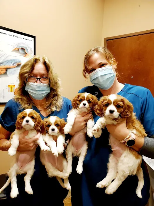 Eye Care for Animals - North Scottsdale 6