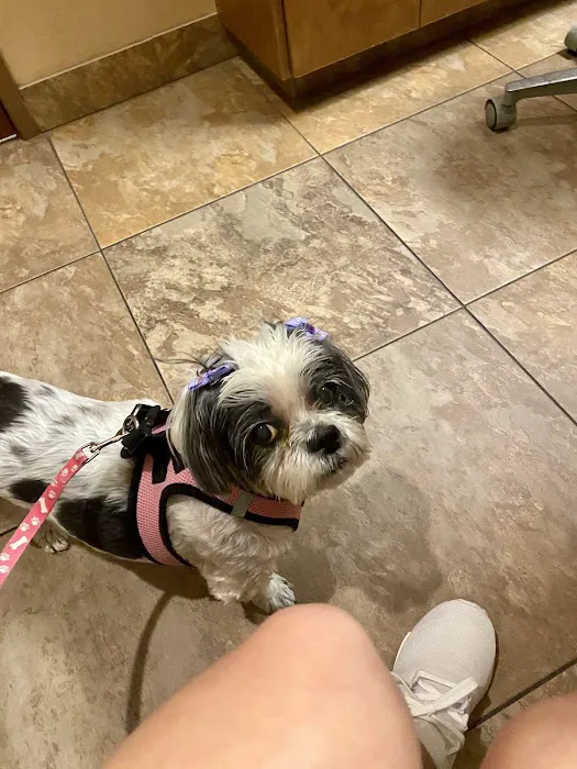 Eye Care for Animals - North Scottsdale 8