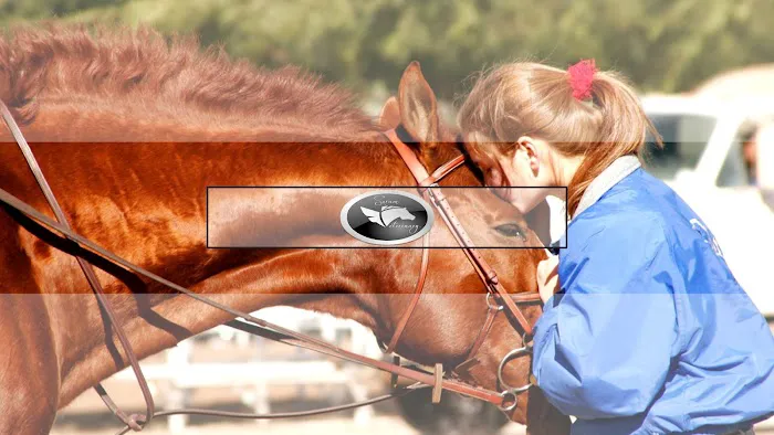 Sorum Veterinary Services 1