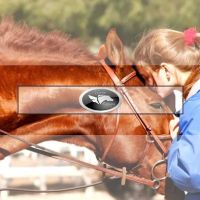 Sorum Veterinary Services ico