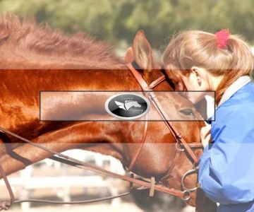 Sorum Veterinary Services