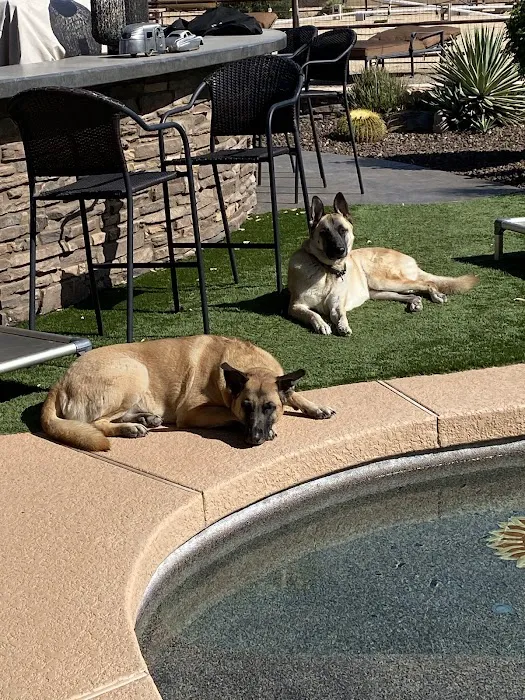 Animal Health Services of Cave Creek 2