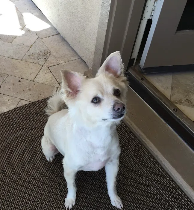 Pets At Peace 3