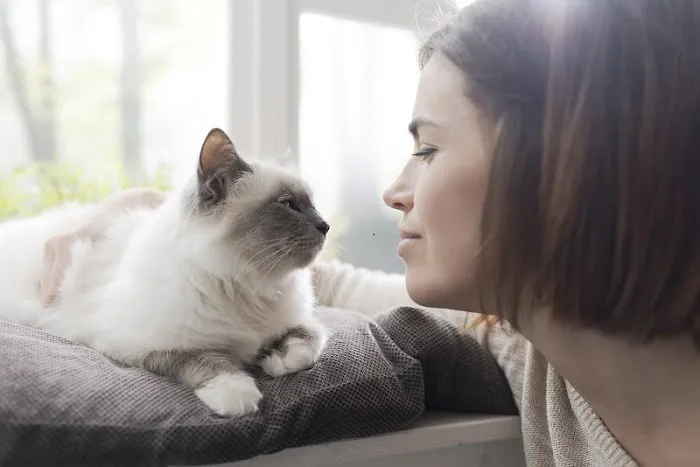 Pets At Peace 1