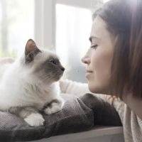 Pets At Peace ico