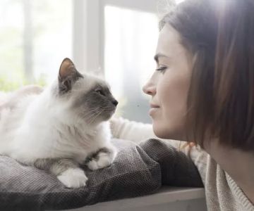 Pets At Peace