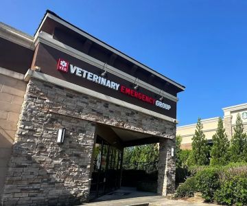 Veterinary Emergency Group