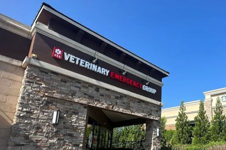Veterinary Emergency Group