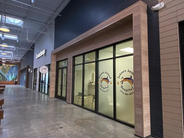 Intown Animal Hospital Midtown 3