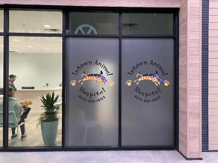 Intown Animal Hospital Midtown 6