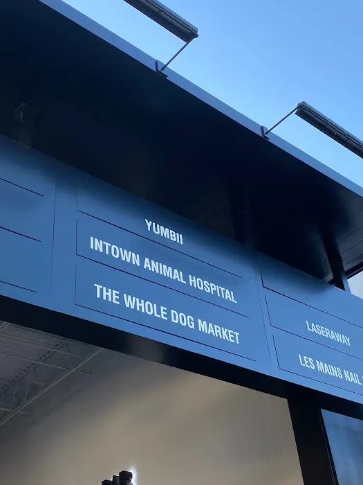 Intown Animal Hospital Midtown 7