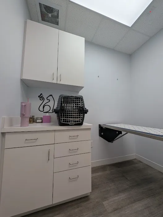 Intown Animal Hospital Midtown 8