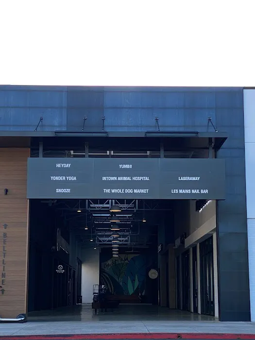 Intown Animal Hospital Midtown 10