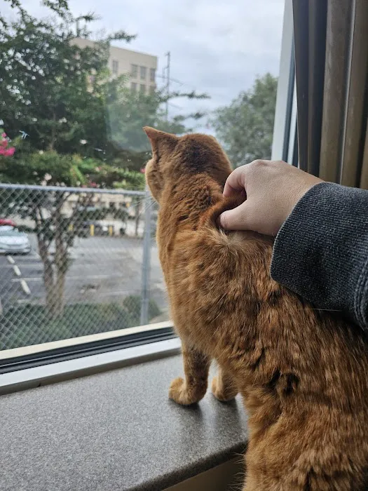 Animal Emergency Center of Sandy Springs 12