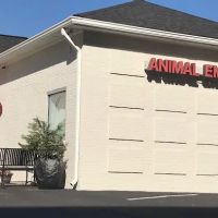 Animal Emergency Center of Sandy Springs ico