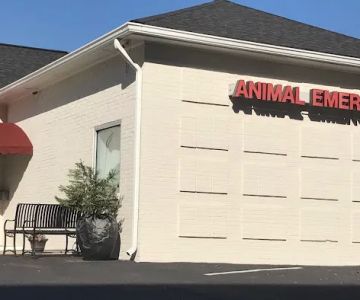 Animal Emergency Center of Sandy Springs