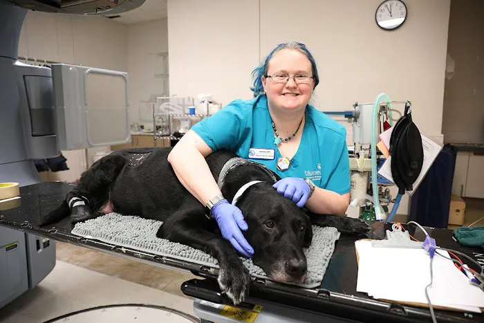 BluePearl Pet Hospital 2