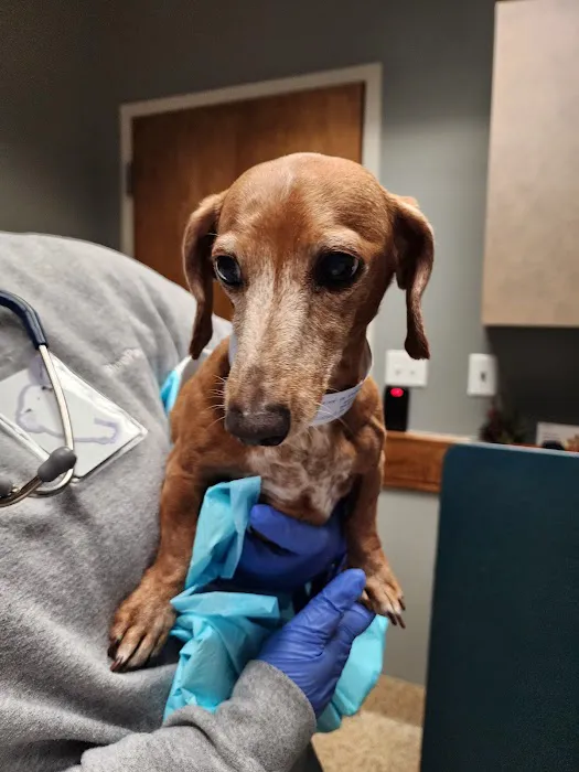 BluePearl Pet Hospital 3