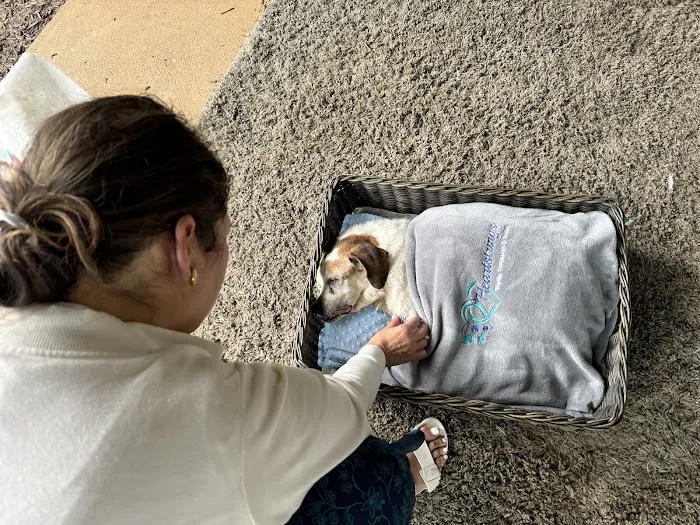 Heartstrings Pet Hospice, In-Home Euthanasia & Cremation- Atlanta 9