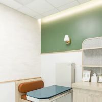 GoodVets West Midtown ico