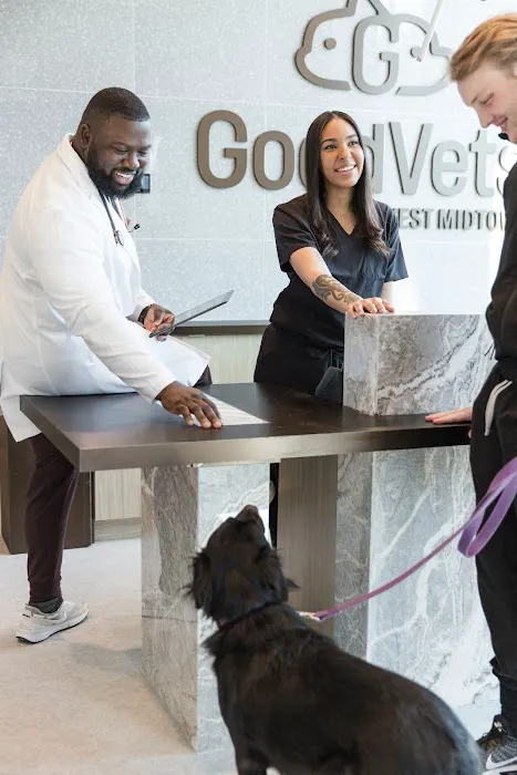 GoodVets West Midtown 10