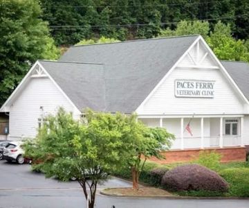 Paces Ferry Veterinary Clinic