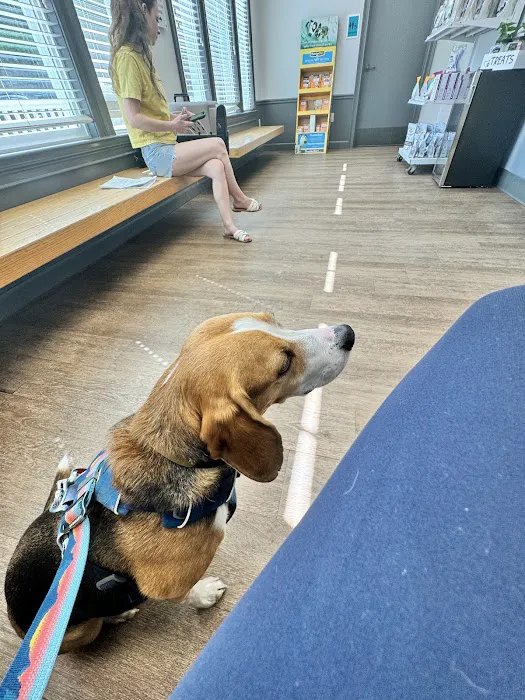Paces Ferry Veterinary Clinic 4