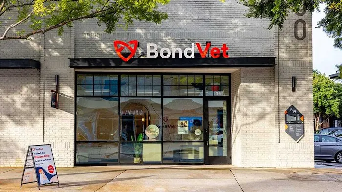 Bond Vet - West Midtown 3
