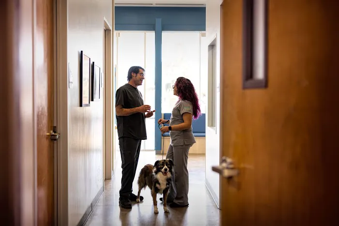 Thrive Pet Healthcare - Midtown 12