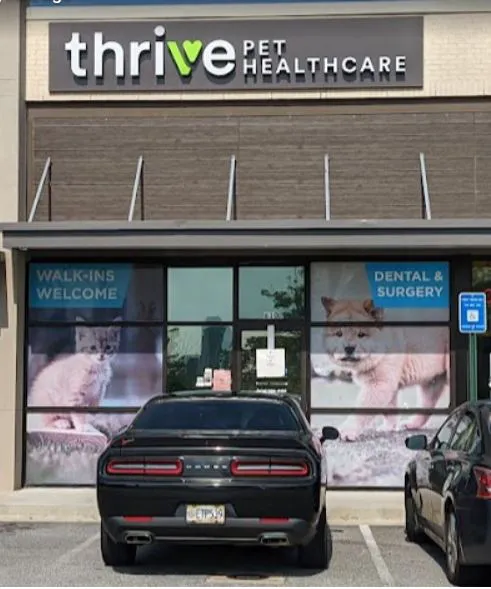 Thrive Pet Healthcare - Midtown 12