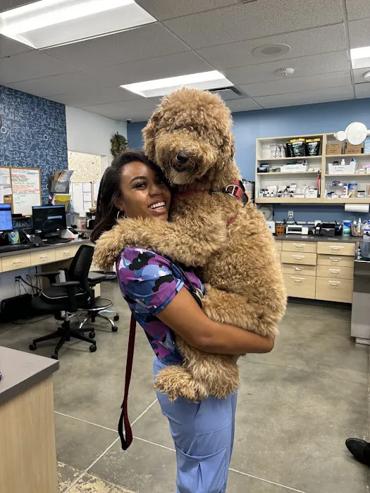 Thrive Pet Healthcare - Midtown 12