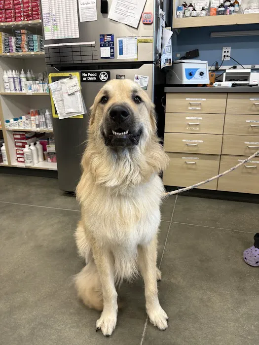 Thrive Pet Healthcare - Midtown 12