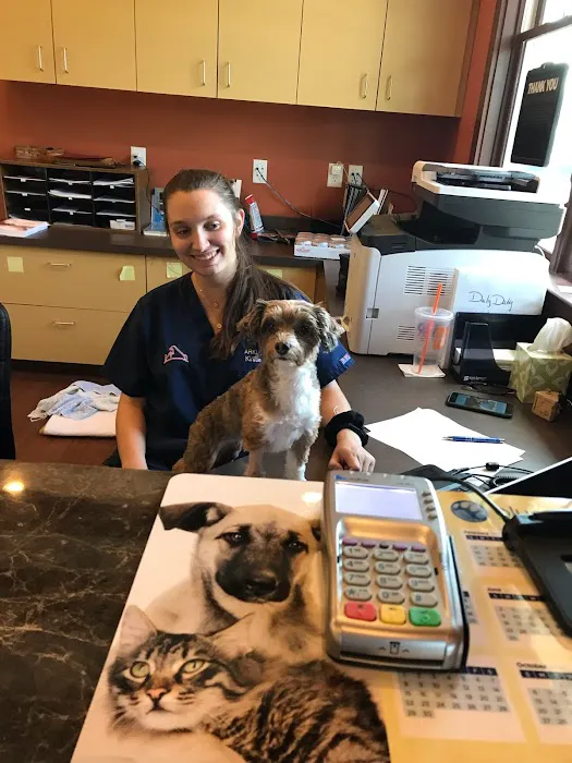 Arkle Veterinary Care 12
