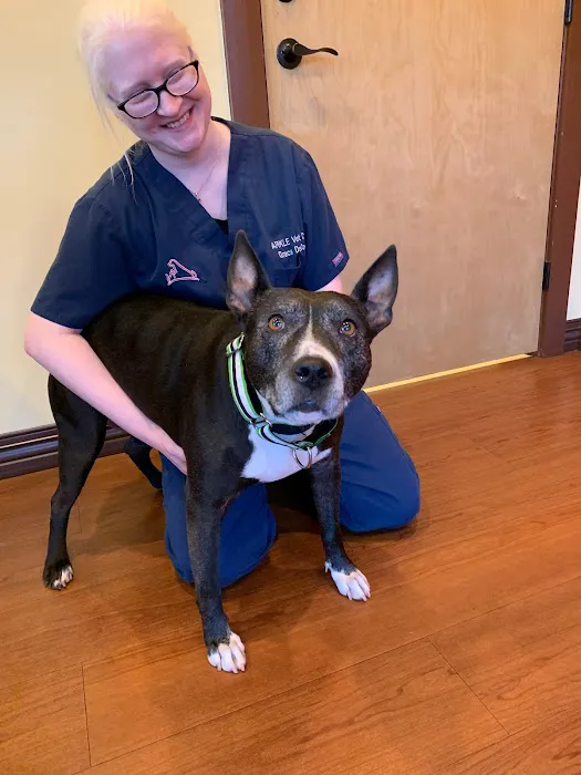 Arkle Veterinary Care 12