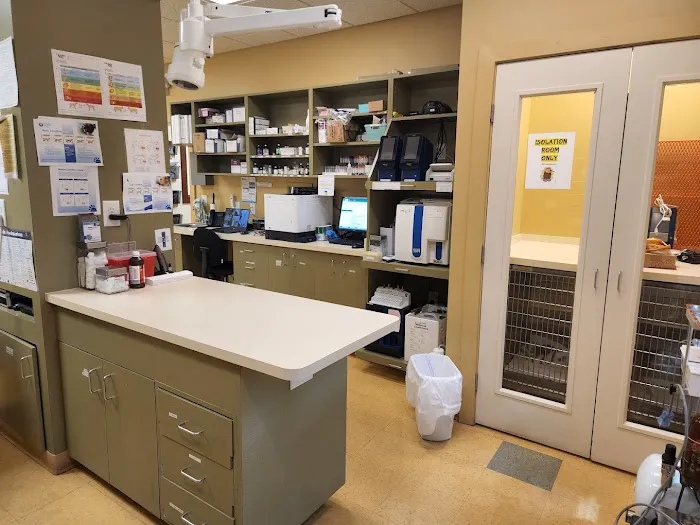 Arkle Veterinary Care 12