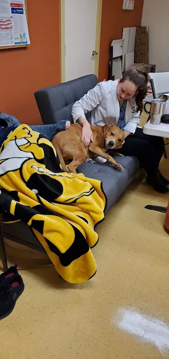 Arkle Veterinary Care 12