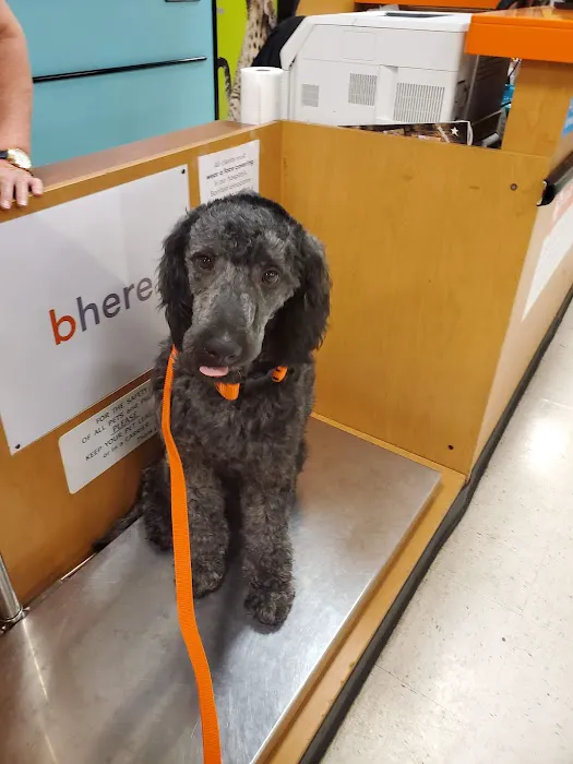 Banfield Pet Hospital 1