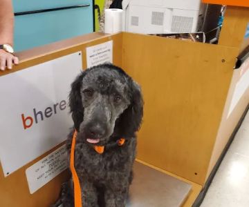 Banfield Pet Hospital