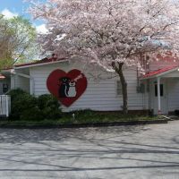 West Marietta Veterinary Clinic ico