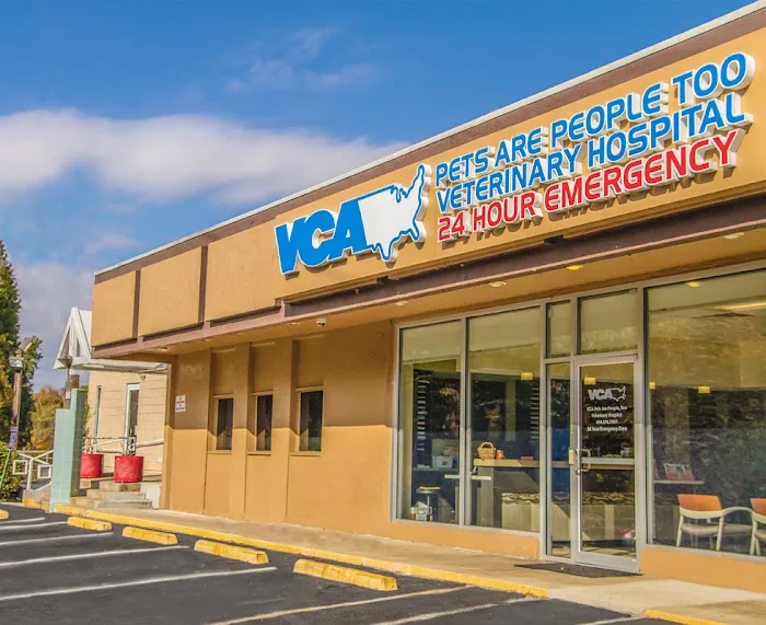 VCA Midtown Animal Hospital 3