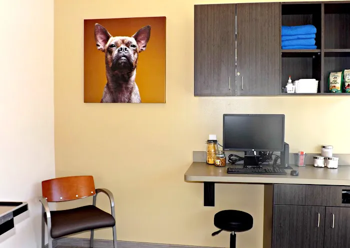 VCA Midtown Animal Hospital 4