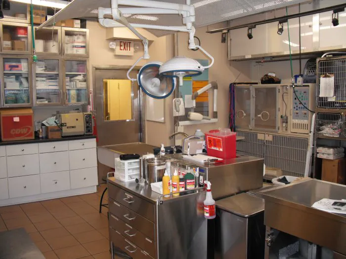 VCA Midtown Animal Hospital 7