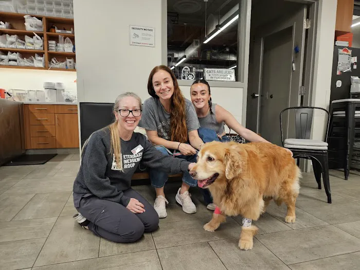 Veterinary Emergency Group 12