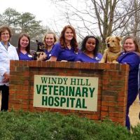 Windy Hill Veterinary Hospital ico